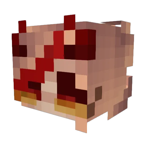 Ten_Grzyb Minecraft avatar head, 3D render