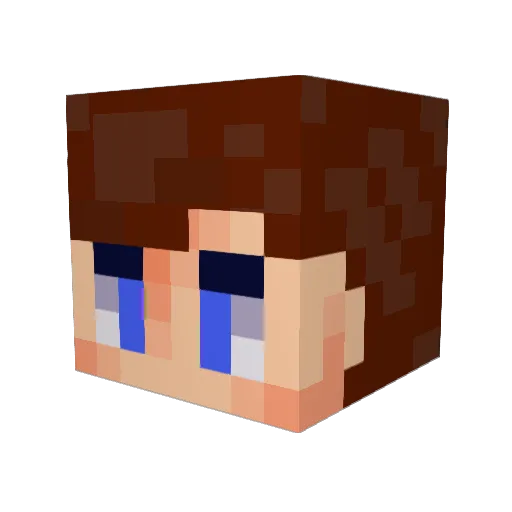 Ten_Joestar Minecraft avatar head, 3D render