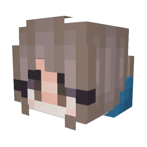 Ten_gen Minecraft avatar head, 3D render