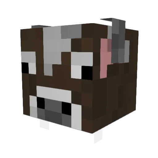 TenacityOnYT Minecraft avatar head, 3D render
