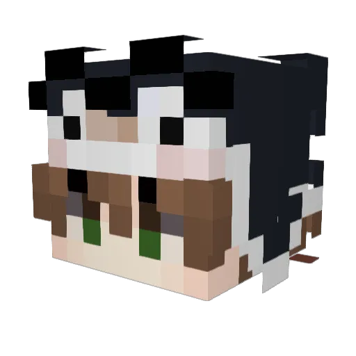 TenawkePlayz Minecraft avatar head, 3D render