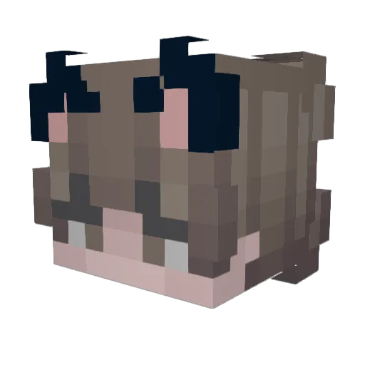 TenceYT Minecraft avatar head, 3D render