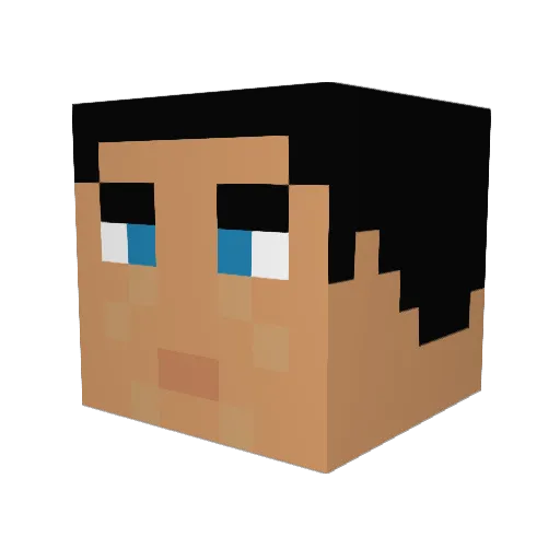 Tender_Nips Minecraft avatar head, 3D render