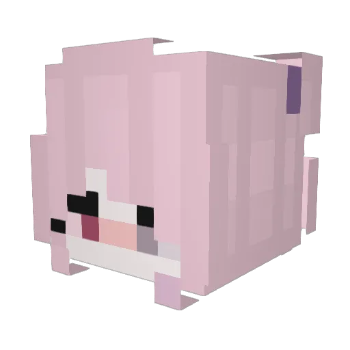Tender_Sweet Minecraft avatar head, 3D render