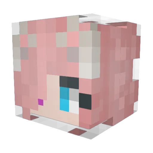 Tenderness_cass Minecraft avatar head, 3D render