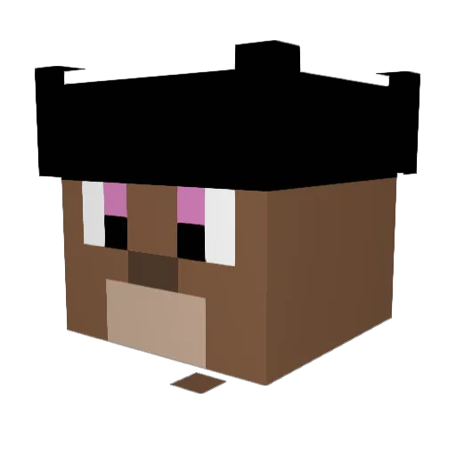 Tenderse Minecraft avatar head, 3D render