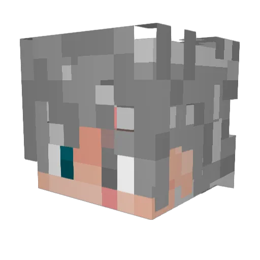Tenebr1_s Minecraft avatar head, 3D render