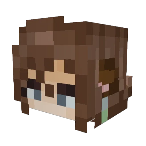TengoTimber Minecraft avatar head, 3D render