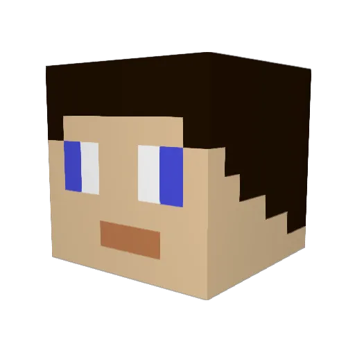 Tenixity Minecraft avatar head, 3D render