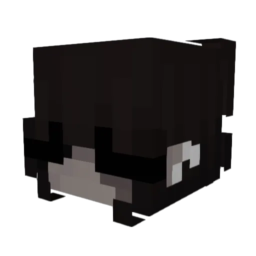 Tenkyenn Minecraft avatar head, 3D render