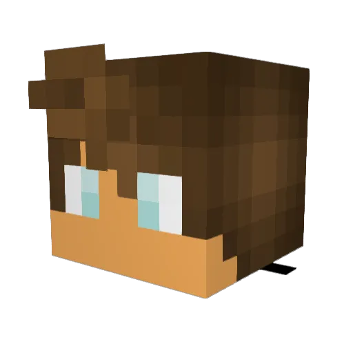 Tenmaru89 Minecraft avatar head, 3D render