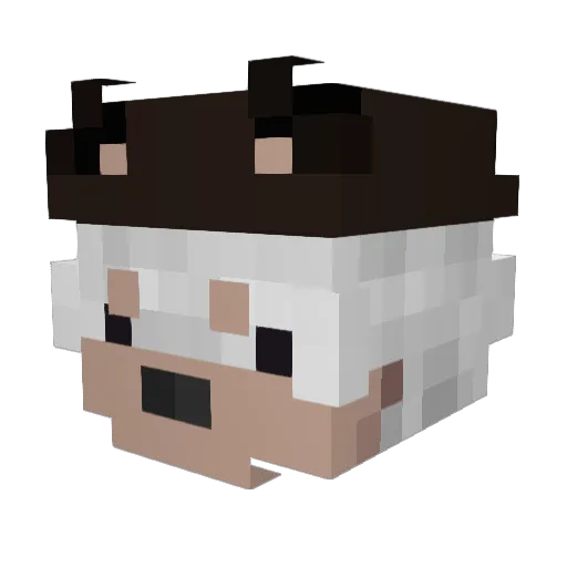 Tenmetsu__ Minecraft avatar head, 3D render