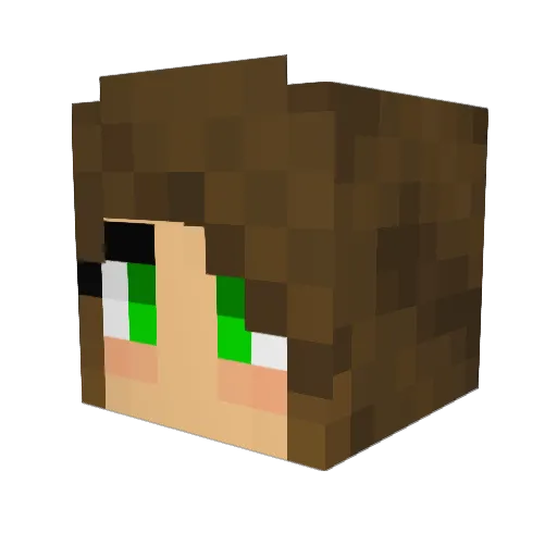 Tenminers68 Minecraft avatar head, 3D render