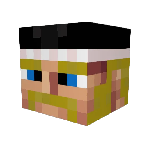 Tenn86 Minecraft avatar head, 3D render