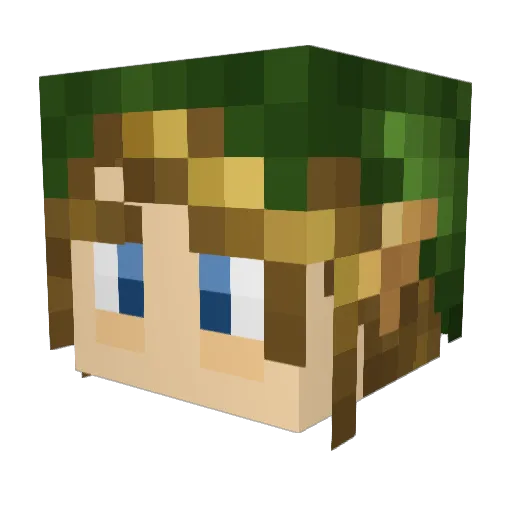 TennSlack Minecraft avatar head, 3D render