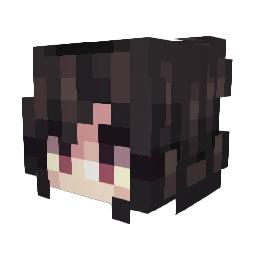 Tennesee Minecraft avatar head, 3D render