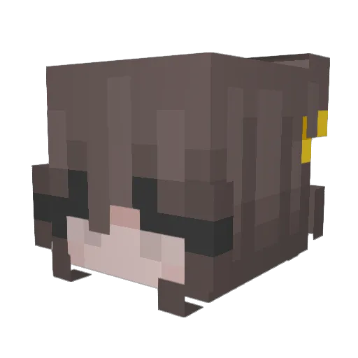 Tennessseee Minecraft avatar head, 3D render