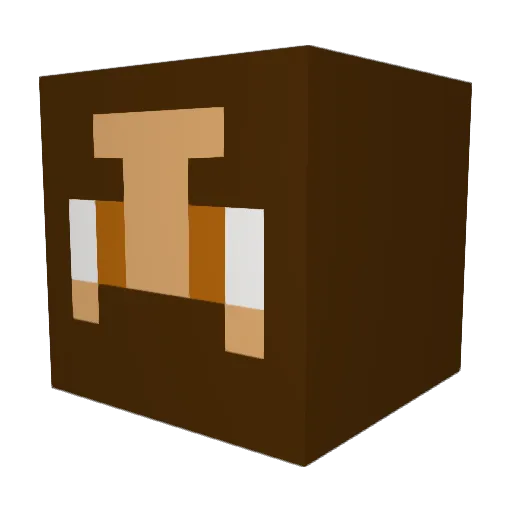 TennisMafia Minecraft avatar head, 3D render