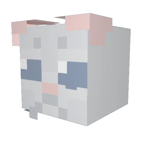 Tennis_Boat Minecraft avatar head, 3D render
