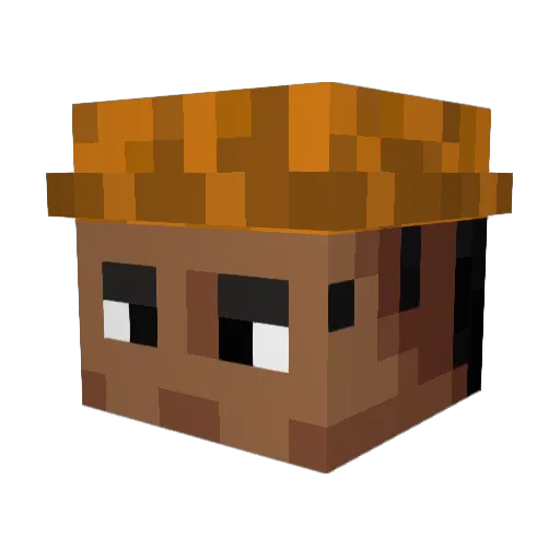 Tennisea Minecraft avatar head, 3D render
