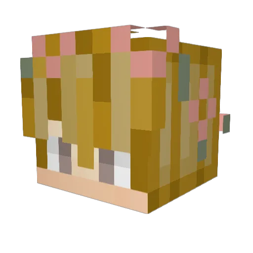 Tennywith Minecraft avatar head, 3D render