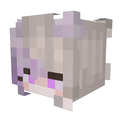 Tenon_2525 Minecraft avatar head, 3D render