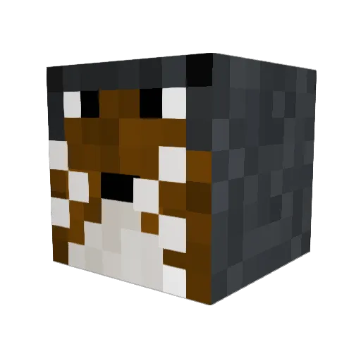 Tenreco Minecraft avatar head, 3D render