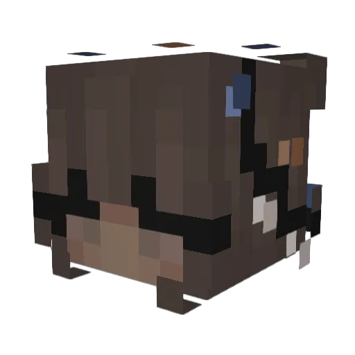 Tense96 Minecraft avatar head, 3D render