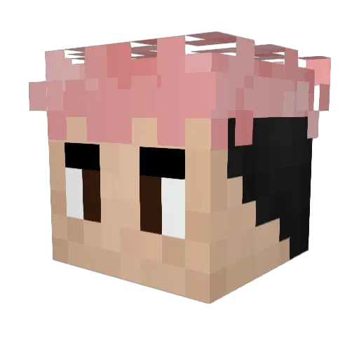 Tenshikunn Minecraft avatar head, 3D render