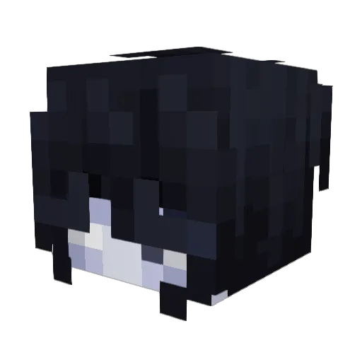 Tensive8508 Minecraft avatar head, 3D render