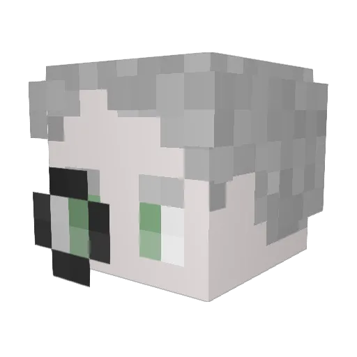 Tentacle_Kitten Minecraft avatar head, 3D render