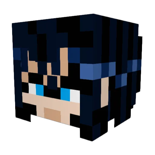 Tentafool Minecraft avatar head, 3D render