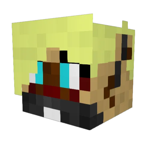 Tentanips Minecraft avatar head, 3D render