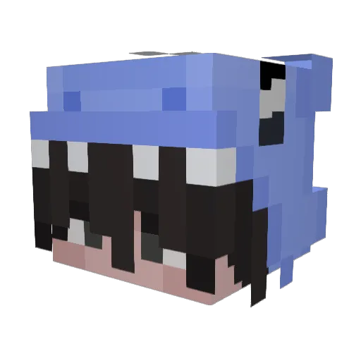 TentedRapier444 Minecraft avatar head, 3D render