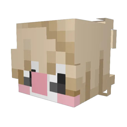 Tenten07 Minecraft avatar head, 3D render