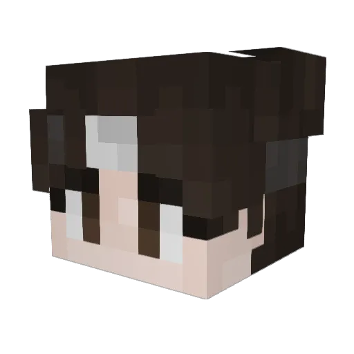 Tenten4real Minecraft avatar head, 3D render