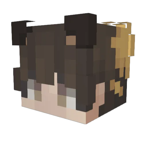 TenthBurrito920 Minecraft avatar head, 3D render