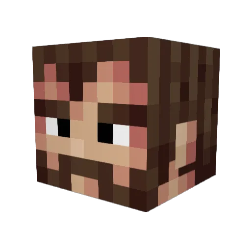 TenthHappyDoom Minecraft avatar head, 3D render