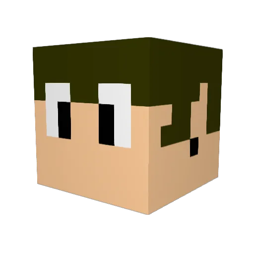 Tenuson Minecraft avatar head, 3D render