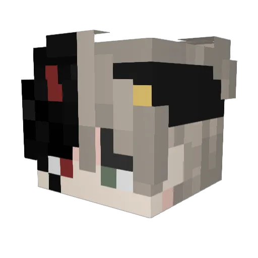 TenwalkTR Minecraft avatar head, 3D render