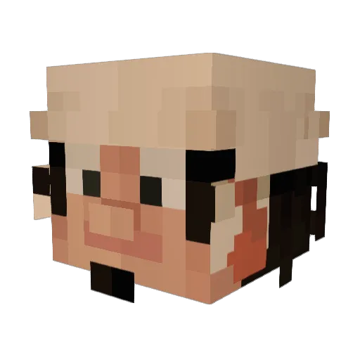 TenzinRo Minecraft avatar head, 3D render