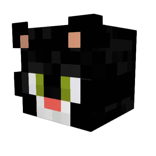 Teo45dore Minecraft avatar head, 3D render