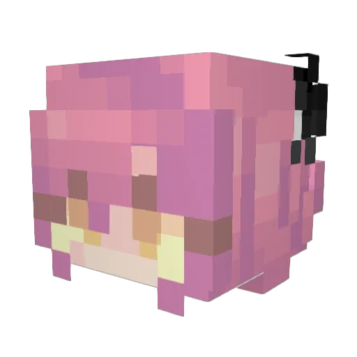 TeoChanKitten Minecraft avatar head, 3D render