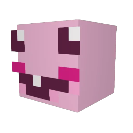 TeoIsFat Minecraft avatar head, 3D render