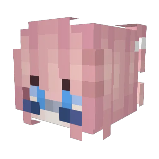 TeoTheBird Minecraft avatar head, 3D render