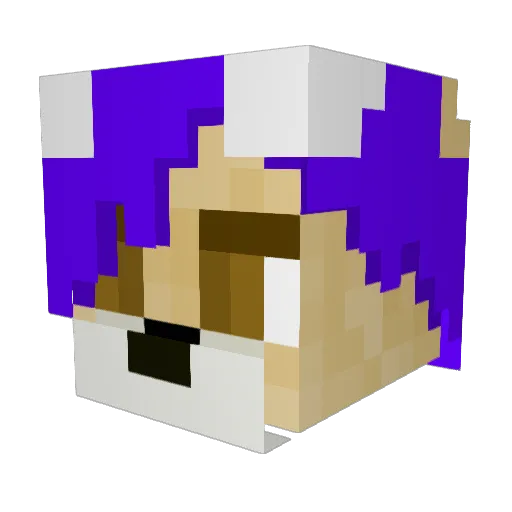 Teo_Lord Minecraft avatar head, 3D render