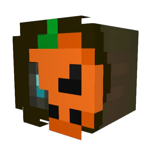Teof20 Minecraft avatar head, 3D render