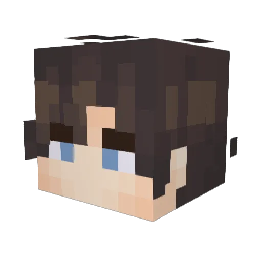 Teokleta Minecraft avatar head, 3D render