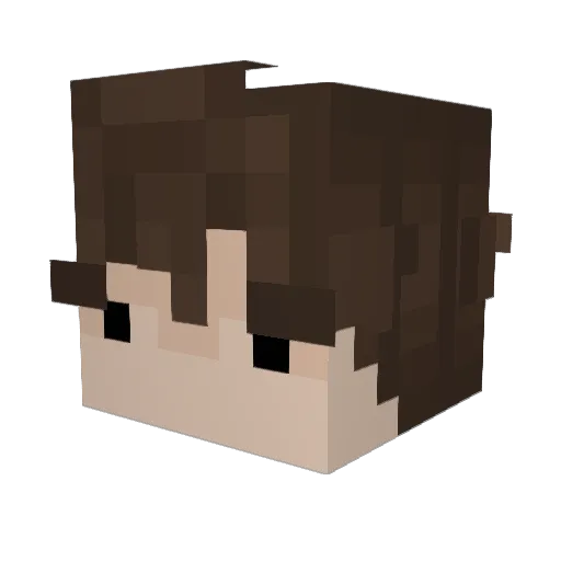 Teoliten Minecraft avatar head, 3D render