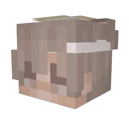 Teologo Minecraft avatar head, 3D render
